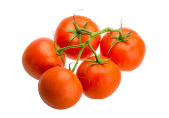 Tomatoes on the branch