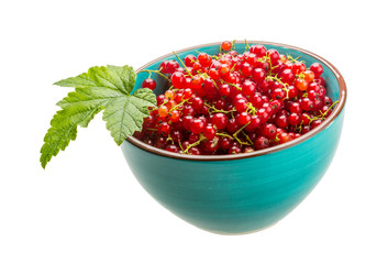Red currant