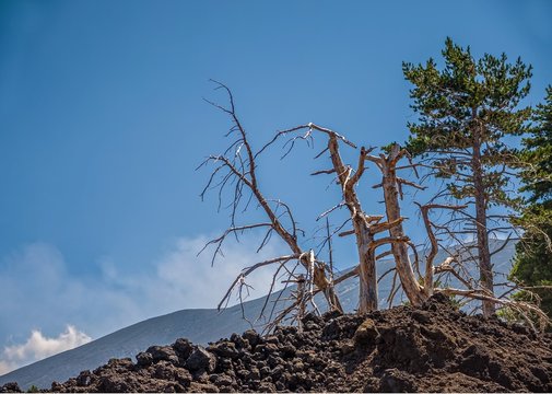 Landscapes of Etna, Sicily ,Italy.