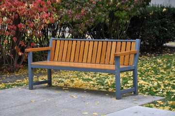 Bench in garden with leaves on the ground