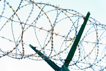 Protection of protected territory prickly the prowolf.