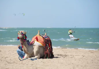 Fotobehang Camel on a beach with kite surfers © Paul Vinten