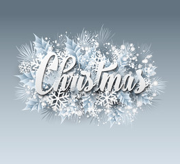 Winter inscription with fir branches and snowflakes