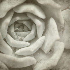 textured old paper background