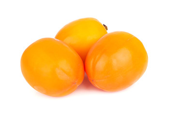 Persimmon fruit