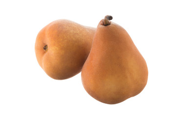 Two Beurre Bosc pears