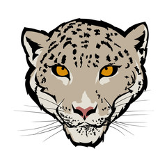 Snow leopard
