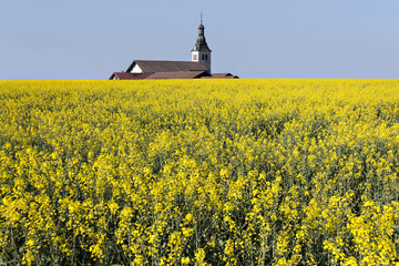Church in a rapeseed field