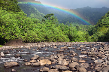 Tahiti. Polynesia. Mountain,  river and rainbow - obrazy, fototapety, plakaty
