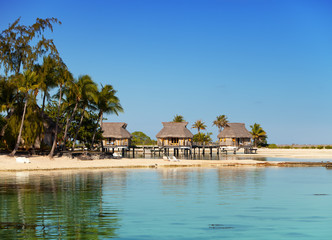 seacoast with palm trees and small houses on water