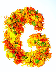 Letter G.