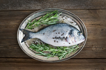 Fresh sea fish (dorado) on a metal dish with rosemary and spices