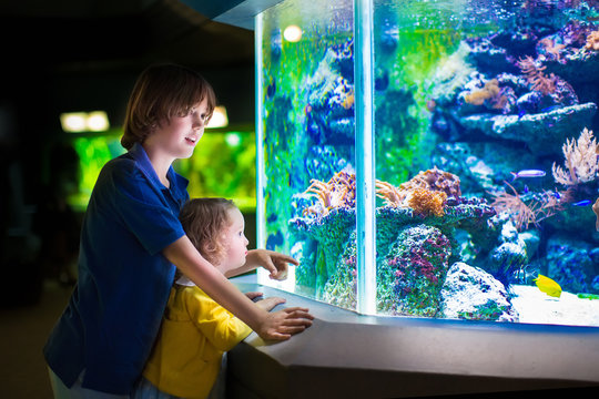 Kids watching fishes in aquarium