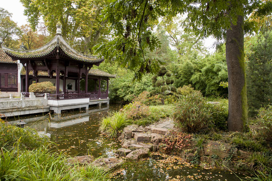 36+ Chinesischer Garten Frankfurt Geschlossen, Umgeben von dicken
