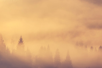 Beautiful misty morning in mountains