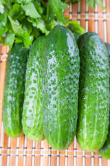 cucumber