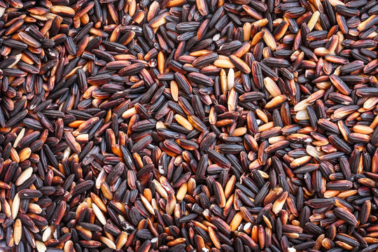 Close Up Black Sticky Rice For Background