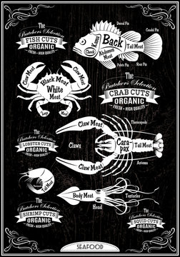 vector diagram cut carcasses seafood