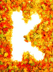 Letter K.