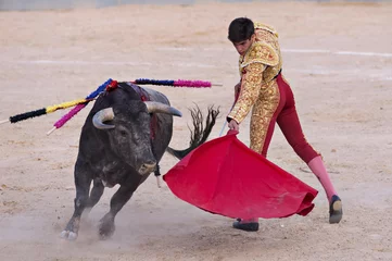 Rolgordijnen Bullfighter in a bullring © fresnel6