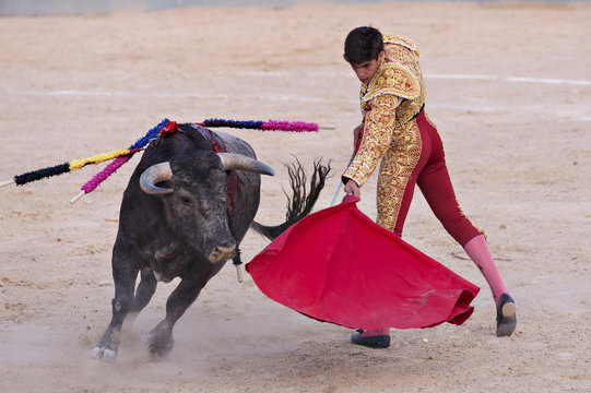 Bullfighter in a bullring