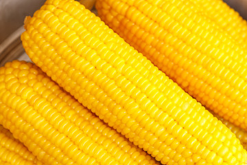 Close up fresh corn for background