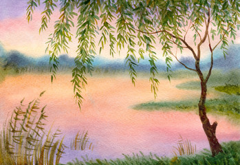 Obraz premium Willow by the lake