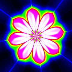 Naklejka premium Mandala ornament as flower blossom