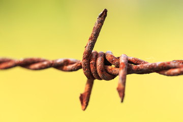 Close up rusty barbed wire
