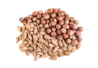Hazelnut and hazelnut almond on white background