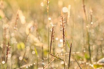 Abstract of blur light  background