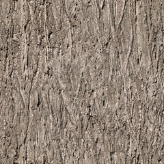seamless bark tree texture