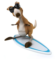 Fun kangaroo © Julien Tromeur