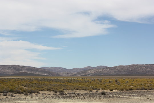 Wüstenlandschaft - Kalahari Wüste