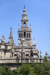 Fototapeta na wymiar Seville cathedral