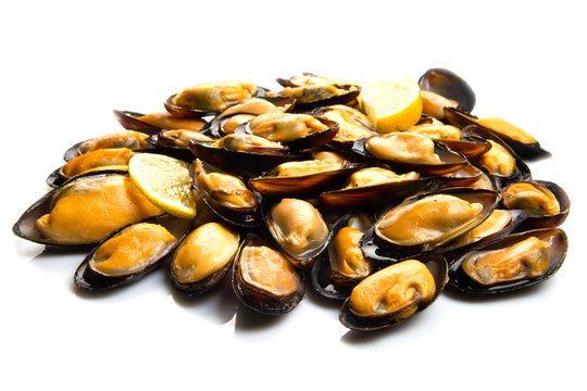 cozze