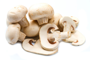 funghi champignon