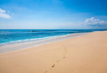 Fototapeta na wymiar Beautiful surfing tropical sand beach