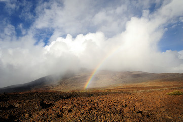 Nationalpark del Teide