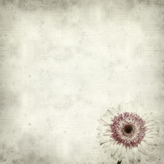 textured old paper background