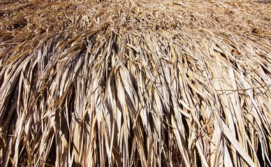 close-up of brown thatch background