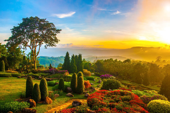 Beautiful garden of colorful flowers on hill with sunrise in the