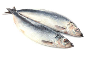 Fresh fish isolated on white