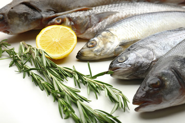 Fresh fish with lemon and rosemary close-up