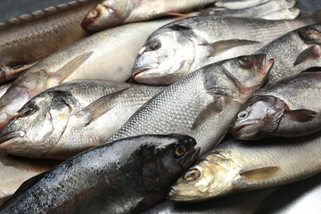 Obraz premium Fresh catch of fish close-up