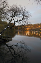 Van Cortlandt Park at night in winter