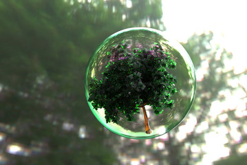 シャボン玉と樹木