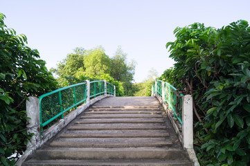 The concrete bridge in a park
