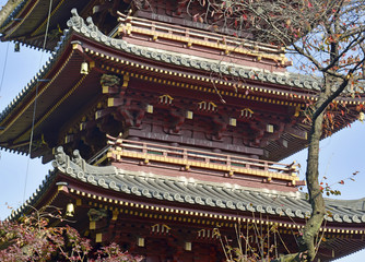 Toshogu Shrine in Ueno Park, Tokyo, Japan