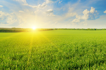 Obraz na płótnie Canvas field, sunrise and blue sky